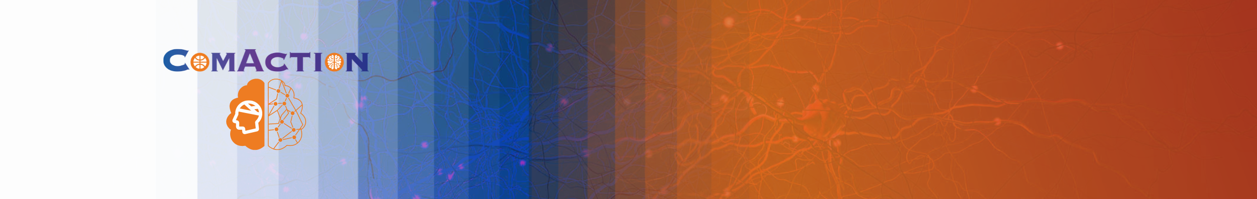 ComAction – Programme de recherche sur les commotions cérébrales